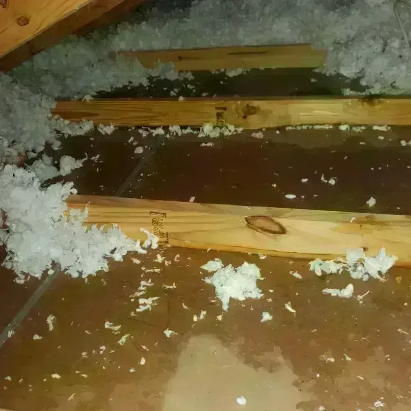 Attic Water Damage in Crown Point, IN